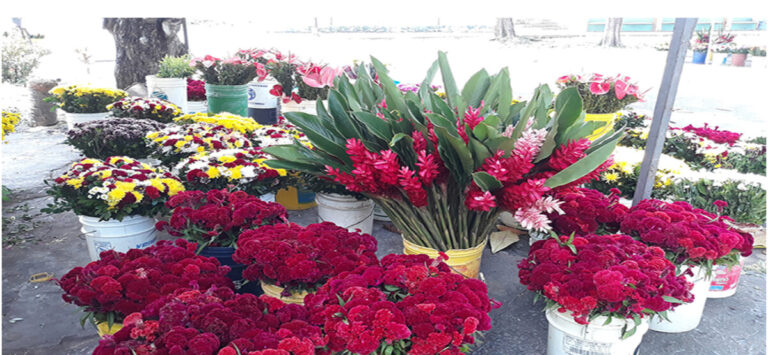 En 70 por ciento han bajado ventas de flores en cementerio de Maturín