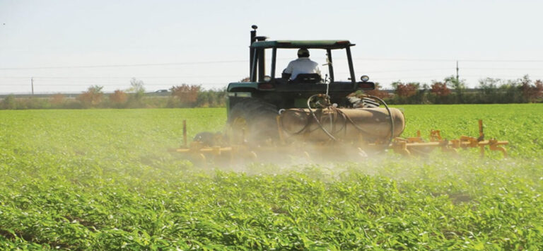Fedeagro reporta disminución en el consumo de arroz, maíz y azúcar