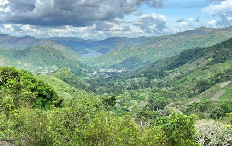 ESPECIAL- Kilimanjaro un pedacito del paraíso en San Antonio de Capayacuar