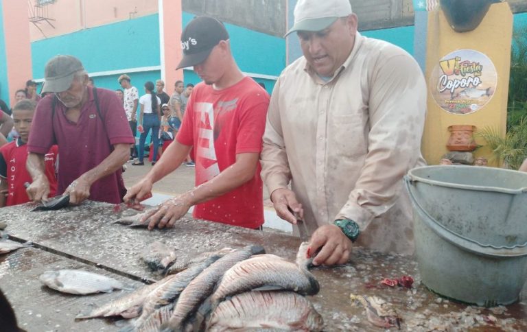 Feria del Coporo en Barrancas: tradición con sentido de arraigo