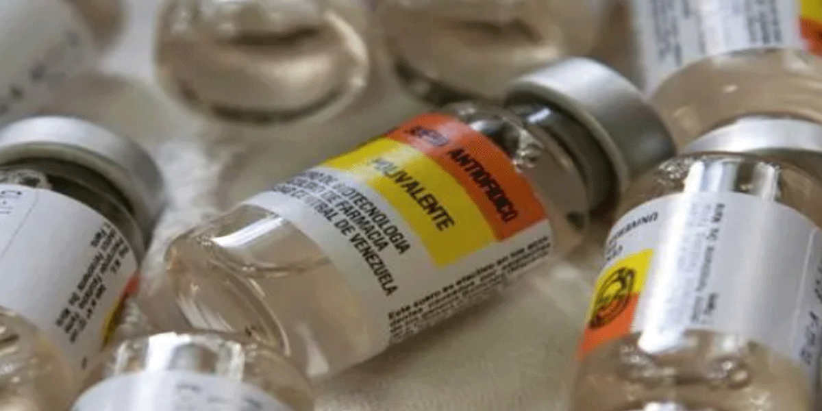 Denuncian circulación de suero antiofídico falso en Venezuela