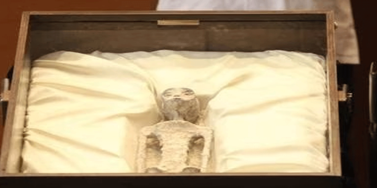Científicos califican como fraude los supuestos cuerpos extraterrestres