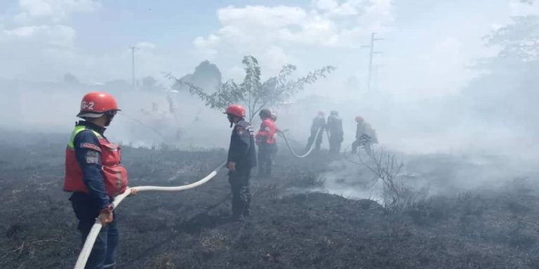 Almerida: Incendios forestales son provocados por quema de desechos sólidos