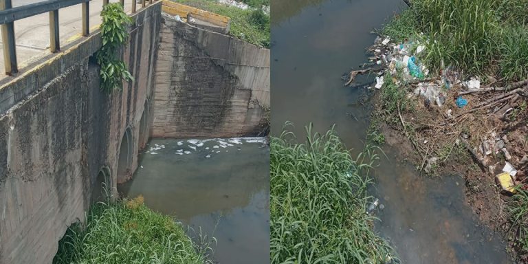 Karla Chaurant: Necesitamos limpieza para el caño de Las Cayenas