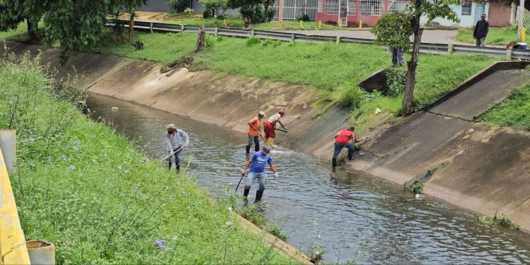 Alcaldía continúa limpieza preventiva en los  caños Orinoco, Alto Paramaconi y Las Carolinas