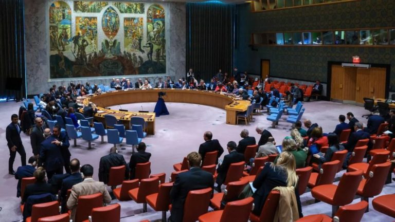 Asamblea General de ONU elige a 5 nuevos miembros no permanentes del Consejo de Seguridad