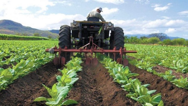 Venezuela alcanza el duodécimo trimestre de crecimiento económico consecutivo