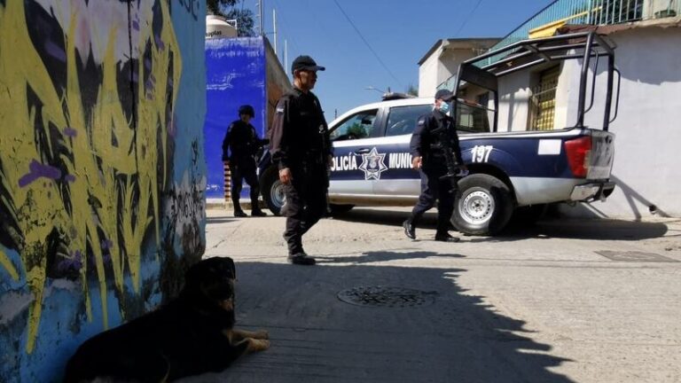 Niño entró a una clínica veterinaria y desmembró a animales