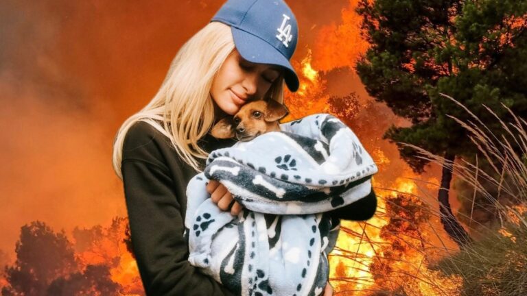 Paris Hilton colabora como voluntaria en refugio para animales afectados por incendios en Los Ángeles