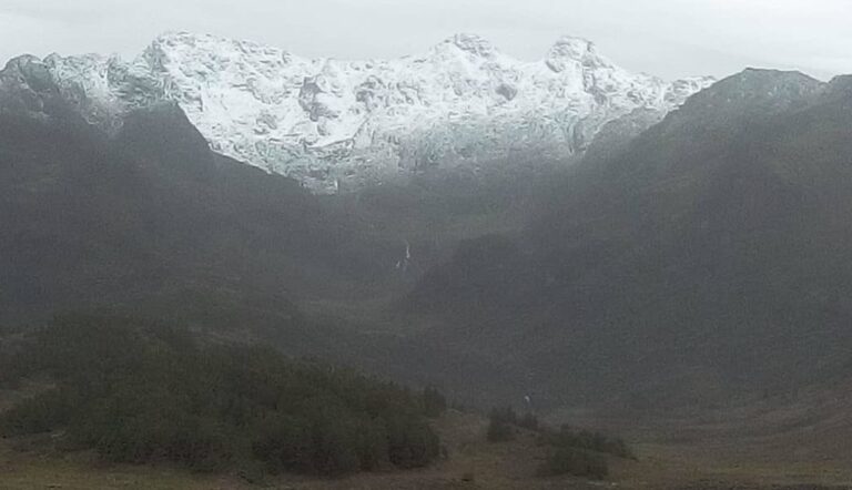 Bajas temperaturas congelan cultivos y cubren de nieve a Mérida