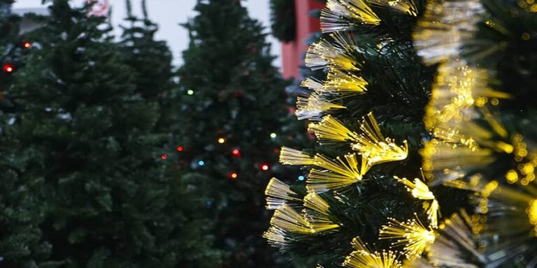 Desde los 55 dólares ya se venden arbolitos en Maturín