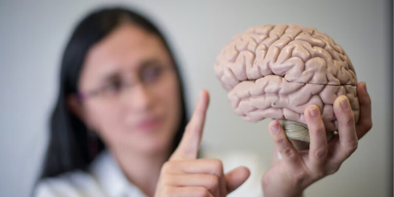 Esta bebida causa envejecimiento cerebral